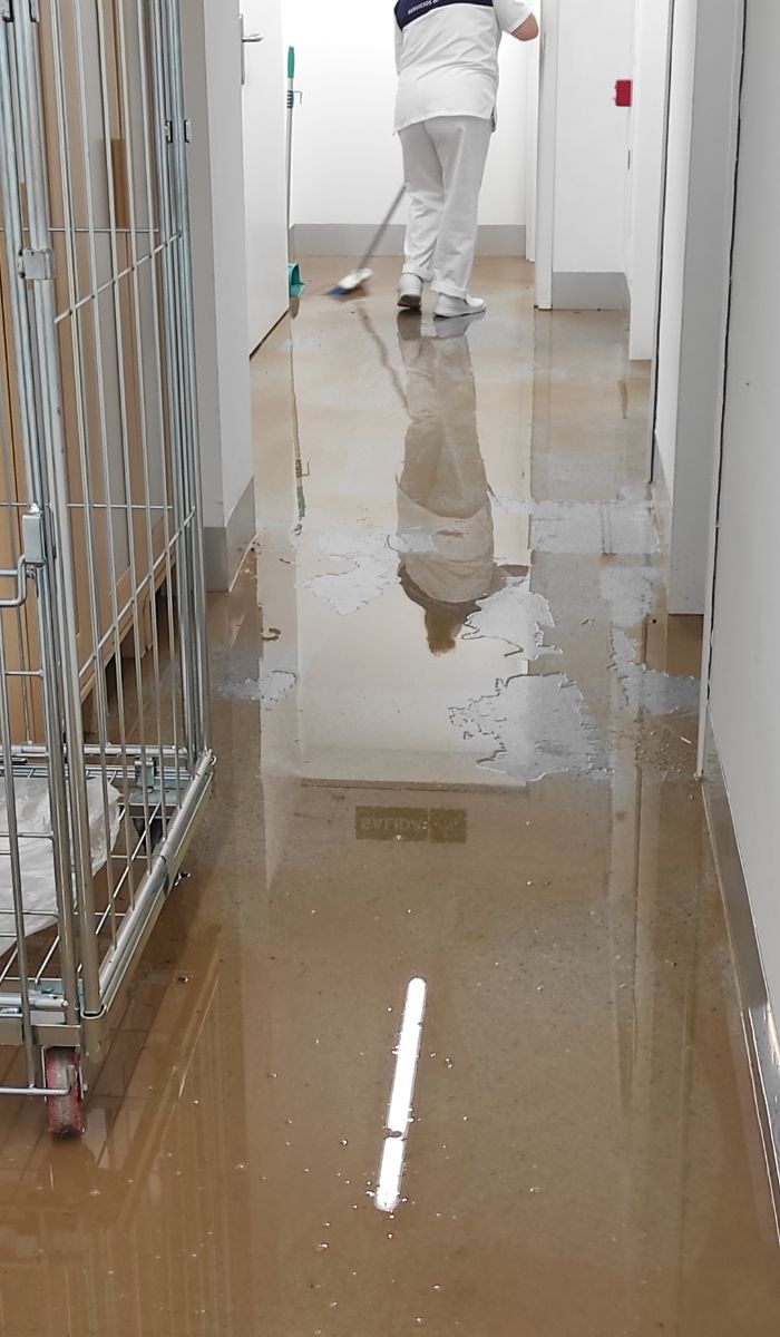 How does Clean Group address client-specific cleaning needs?